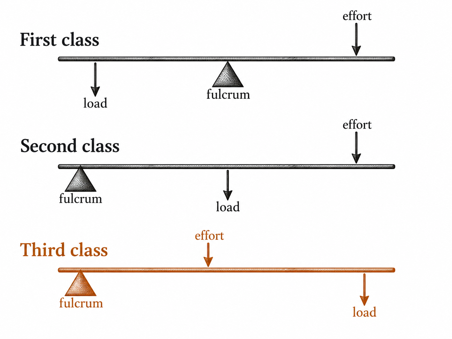 Most of this work is a third-class lever.