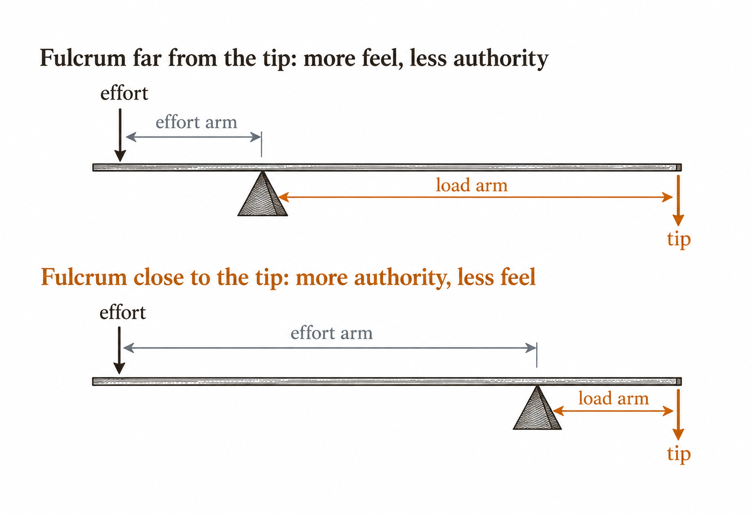 Where the fulcrum sits decides what reaches the tip.